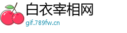 白衣宰相网
